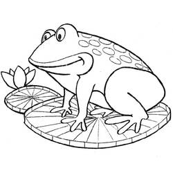 Coloring page: Frog (Animals) #7594 - Free Printable Coloring Pages