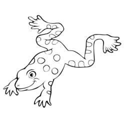 Coloring page: Frog (Animals) #7637 - Free Printable Coloring Pages