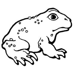Coloring page: Frog (Animals) #7688 - Free Printable Coloring Pages