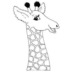 Coloring page: Giraffe (Animals) #7221 - Free Printable Coloring Pages