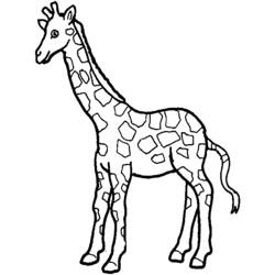 Coloring page: Giraffe (Animals) #7225 - Free Printable Coloring Pages