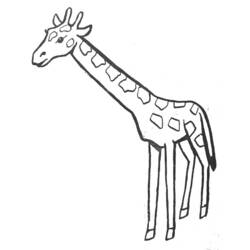 Coloring page: Giraffe (Animals) #7230 - Free Printable Coloring Pages