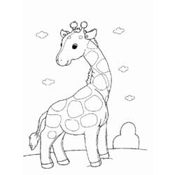 Coloring page: Giraffe (Animals) #7253 - Free Printable Coloring Pages