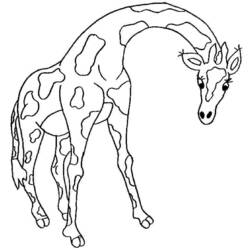 Coloring page: Giraffe (Animals) #7360 - Free Printable Coloring Pages