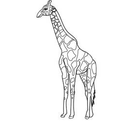 Coloring page: Giraffe (Animals) #7362 - Free Printable Coloring Pages