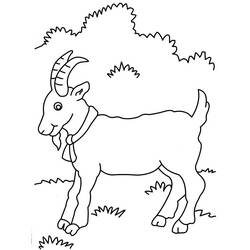 Coloring page: Goat (Animals) #2403 - Free Printable Coloring Pages