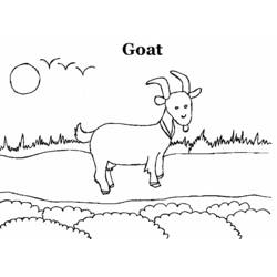 Coloring page: Goat (Animals) #2413 - Free Printable Coloring Pages