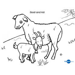 Coloring page: Goat (Animals) #2437 - Free Printable Coloring Pages