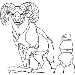 Coloring page: Goat (Animals) #2448 - Free Printable Coloring Pages