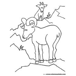 Coloring page: Goat (Animals) #2450 - Free Printable Coloring Pages
