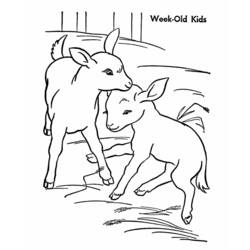 Coloring page: Goat (Animals) #2518 - Free Printable Coloring Pages