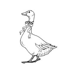 Coloring page: Goose (Animals) #11640 - Free Printable Coloring Pages