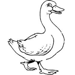 Coloring page: Goose (Animals) #11643 - Free Printable Coloring Pages