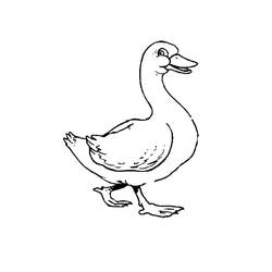 Coloring page: Goose (Animals) #11645 - Free Printable Coloring Pages