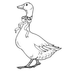 Coloring page: Goose (Animals) #11650 - Free Printable Coloring Pages