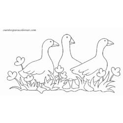 Coloring page: Goose (Animals) #11676 - Free Printable Coloring Pages
