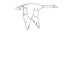Coloring page: Goose (Animals) #11683 - Free Printable Coloring Pages