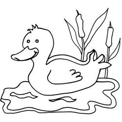 Coloring page: Goose (Animals) #11723 - Free Printable Coloring Pages