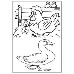 Coloring page: Goose (Animals) #11787 - Free Printable Coloring Pages