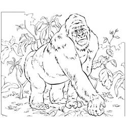 Coloring page: Gorilla (Animals) #7455 - Free Printable Coloring Pages