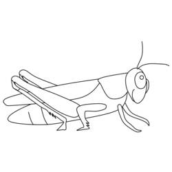 Coloring page: Grasshopper (Animals) #19793 - Free Printable Coloring Pages