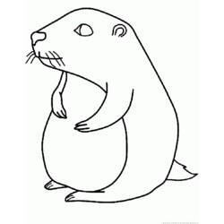 Coloring page: Groundhog (Animals) #10958 - Free Printable Coloring Pages