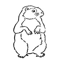 Coloring page: Groundhog (Animals) #10985 - Free Printable Coloring Pages