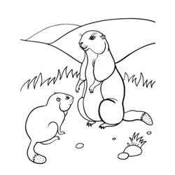 Coloring page: Groundhog (Animals) #10990 - Free Printable Coloring Pages