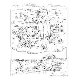 Coloring page: Groundhog (Animals) #11051 - Free Printable Coloring Pages