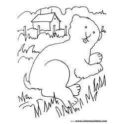 Coloring page: Groundhog (Animals) #11065 - Free Printable Coloring Pages