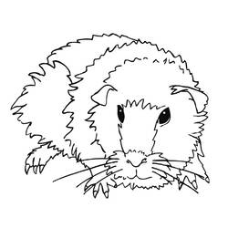Coloring page: Guinea Pig (Animals) #18491 - Free Printable Coloring Pages