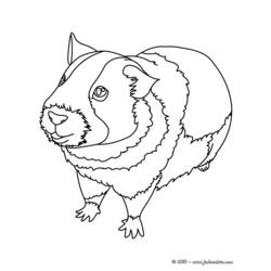 Coloring page: Guinea Pig (Animals) #18493 - Free Printable Coloring Pages