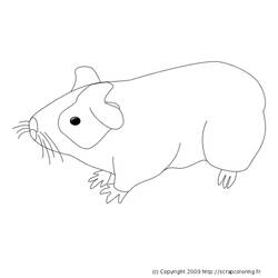 Coloring page: Guinea Pig (Animals) #18495 - Free Printable Coloring Pages