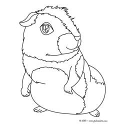Coloring page: Guinea Pig (Animals) #18510 - Free Printable Coloring Pages
