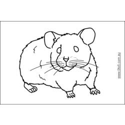 Coloring page: Hamster (Animals) #8103 - Free Printable Coloring Pages
