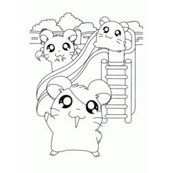 Coloring page: Hamster (Animals) #8115 - Free Printable Coloring Pages