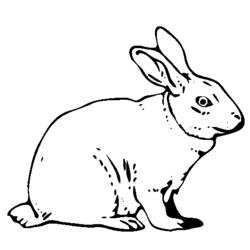 Coloring page: Hare (Animals) #10077 - Free Printable Coloring Pages