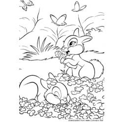 Coloring page: Hare (Animals) #10125 - Free Printable Coloring Pages