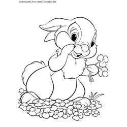 Coloring page: Hare (Animals) #10126 - Free Printable Coloring Pages