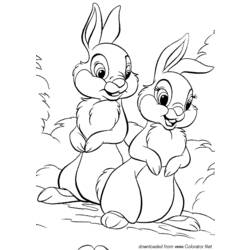 Coloring page: Hare (Animals) #10129 - Free Printable Coloring Pages