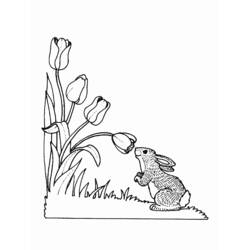 Coloring page: Hare (Animals) #10138 - Free Printable Coloring Pages