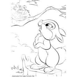 Coloring page: Hare (Animals) #10143 - Free Printable Coloring Pages