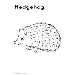 Coloring page: Hedgehog (Animals) #8213 - Free Printable Coloring Pages
