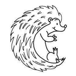 Coloring page: Hedgehog (Animals) #8223 - Free Printable Coloring Pages