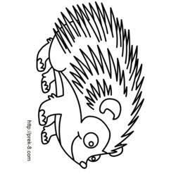 Coloring page: Hedgehog (Animals) #8249 - Free Printable Coloring Pages