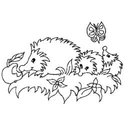 Coloring page: Hedgehog (Animals) #8257 - Free Printable Coloring Pages