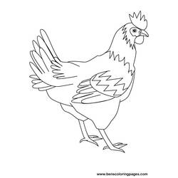 Coloring page: Hen (Animals) #17446 - Free Printable Coloring Pages