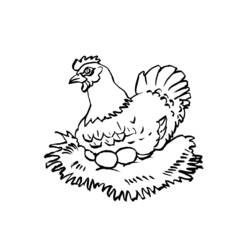 Coloring page: Hen (Animals) #17532 - Free Printable Coloring Pages