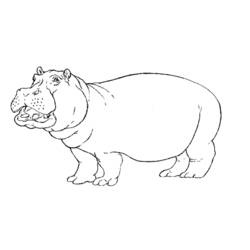 Coloring page: Hippopotamus (Animals) #8614 - Free Printable Coloring Pages