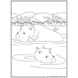 Coloring page: Hippopotamus (Animals) #8633 - Free Printable Coloring Pages